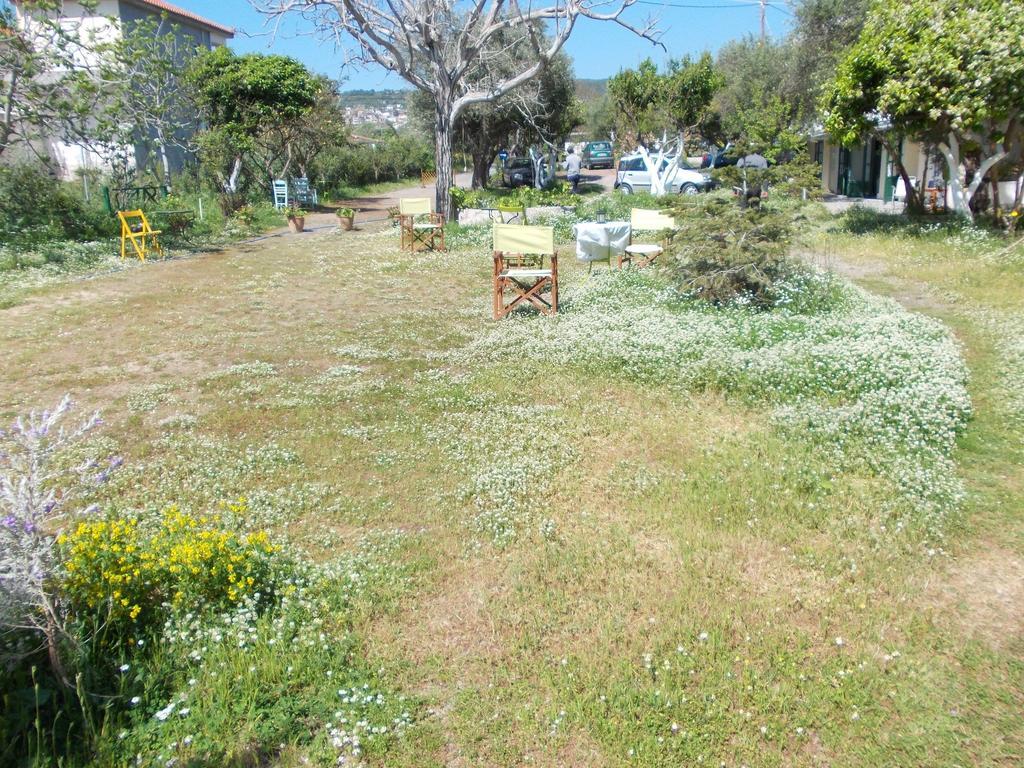 Kassimiotis Aparthotel Άγιος Ανδρέας Εξωτερικό φωτογραφία