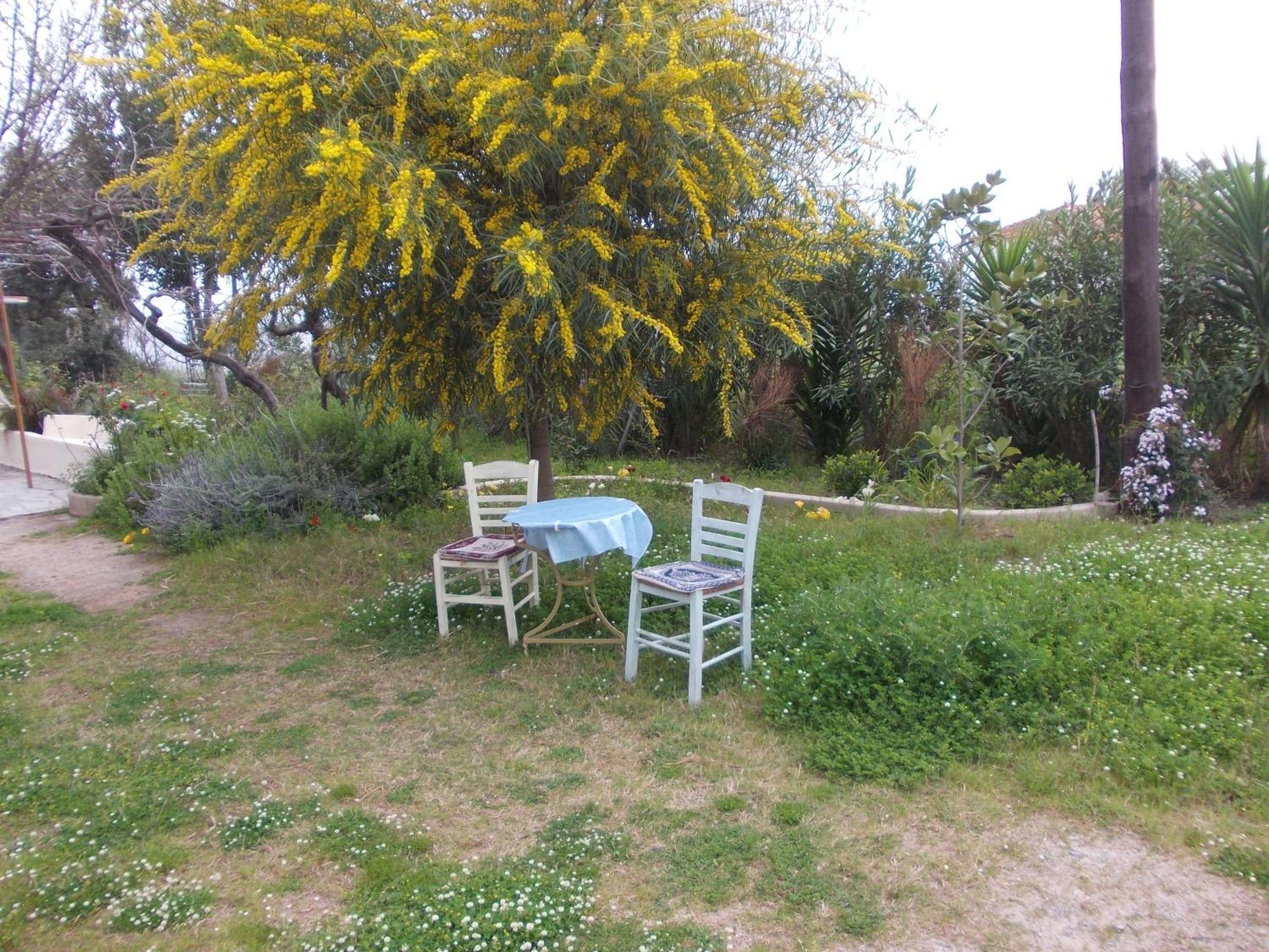 Kassimiotis Aparthotel Άγιος Ανδρέας Εξωτερικό φωτογραφία