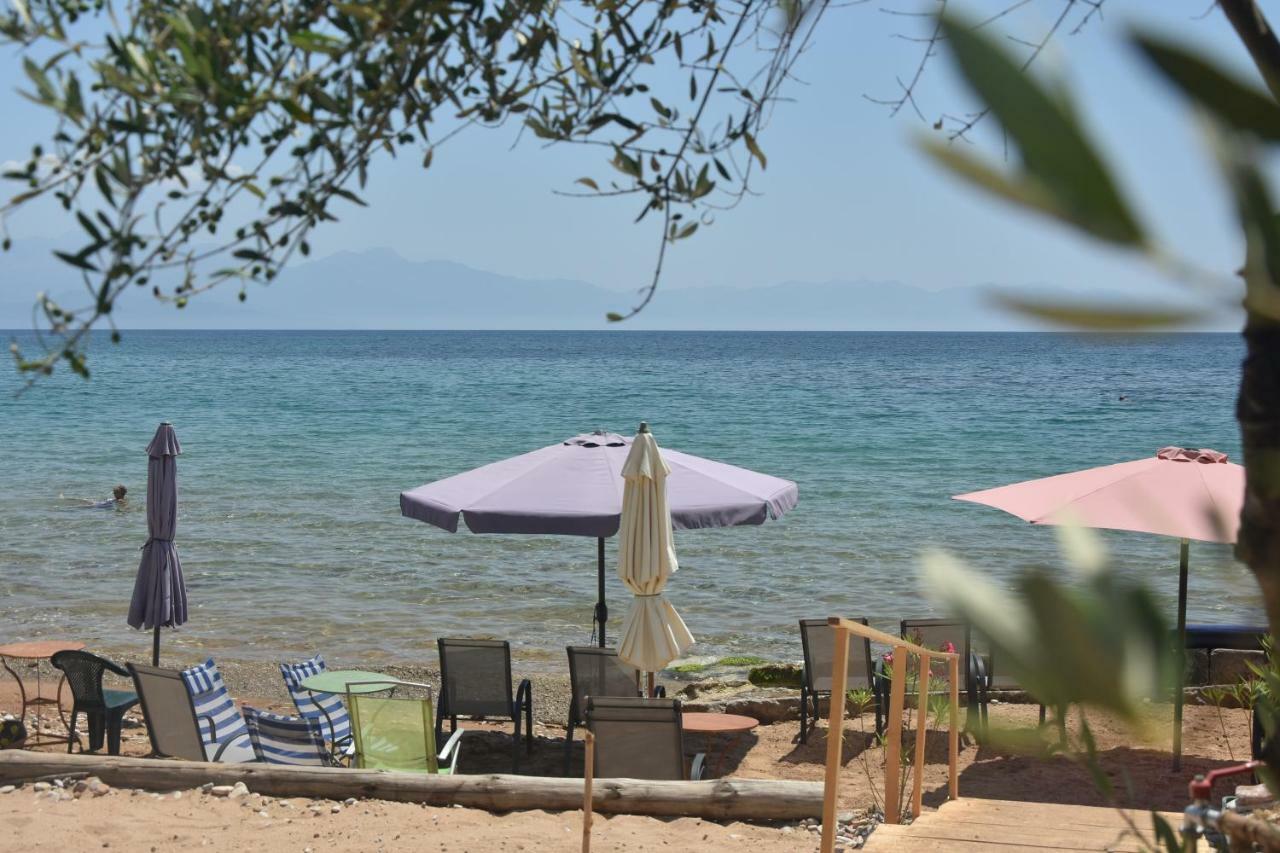 Kassimiotis Aparthotel Άγιος Ανδρέας Εξωτερικό φωτογραφία